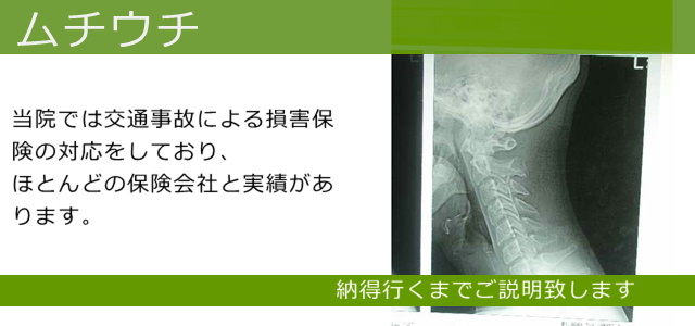 ムチウチ/すずきファクトリー